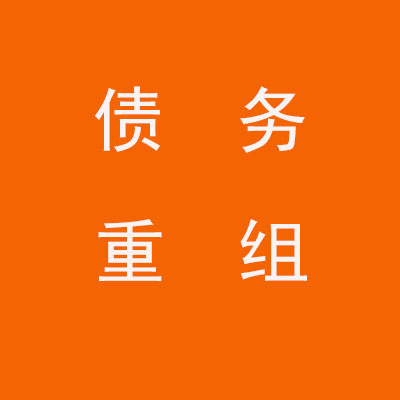 酉阳个人债务重组优化